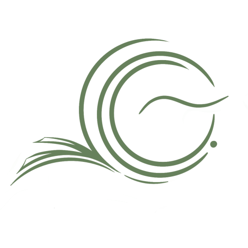 لوگوی جریان